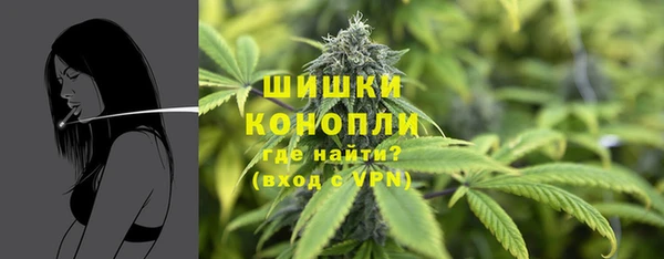 трава Армянск