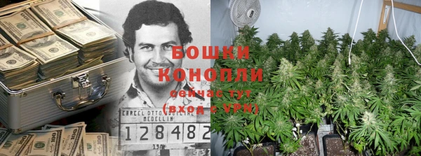 трава Армянск