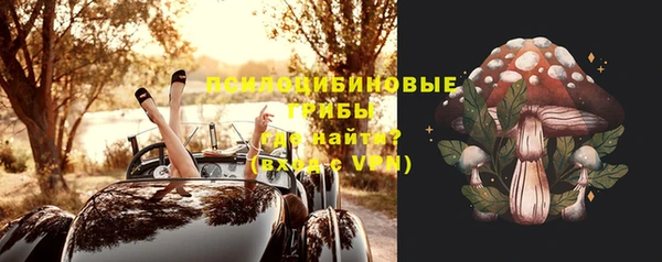 меф Арсеньев