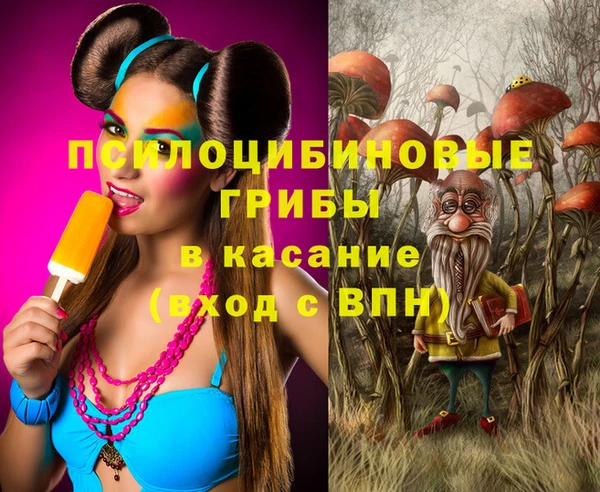 трава Армянск