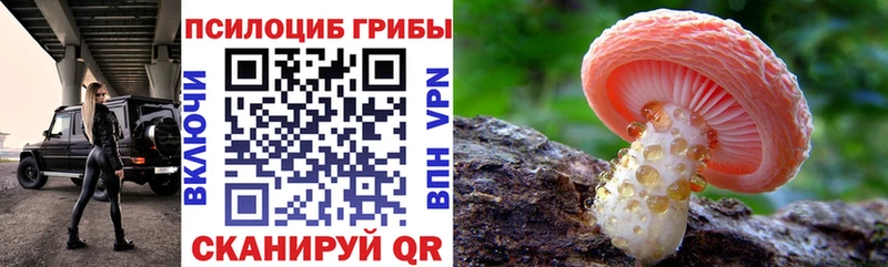 Псилоцибиновые грибы прущие грибы  блэк спрут рабочий сайт  Сосенский 